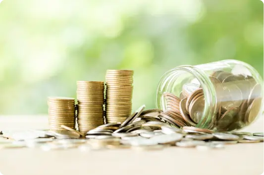 ireland Cost Study