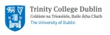 study in ireland consultants